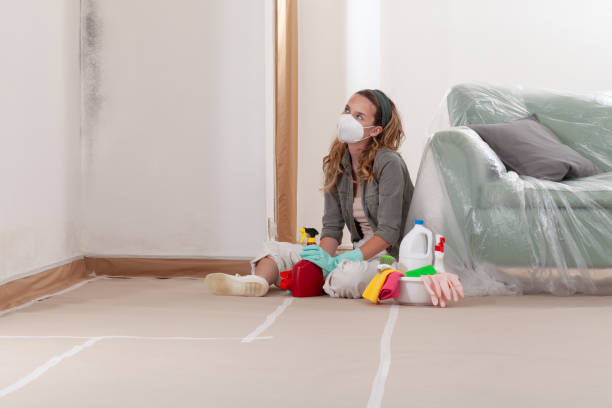 Reliable Attic Mold Removal contractor in Camden, NC by WQB Mold Removal
