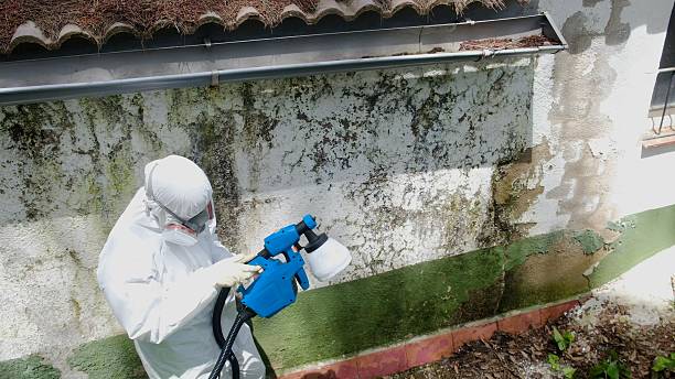 Top rated local Attic Mold Removal specialists in Camden, NC